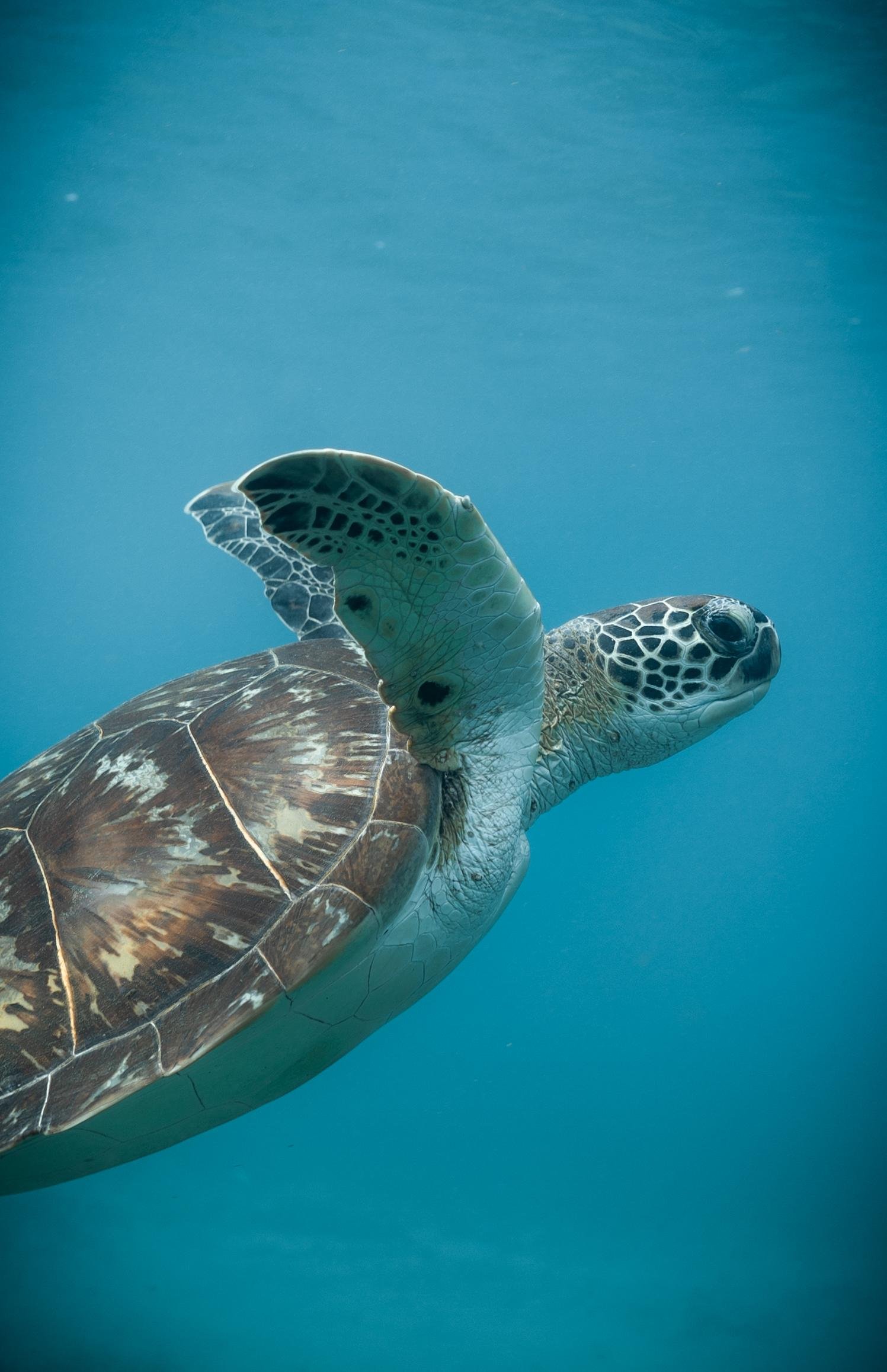 Une journée inoubliable à Petite-Terre dans les îles de Guadeloupe