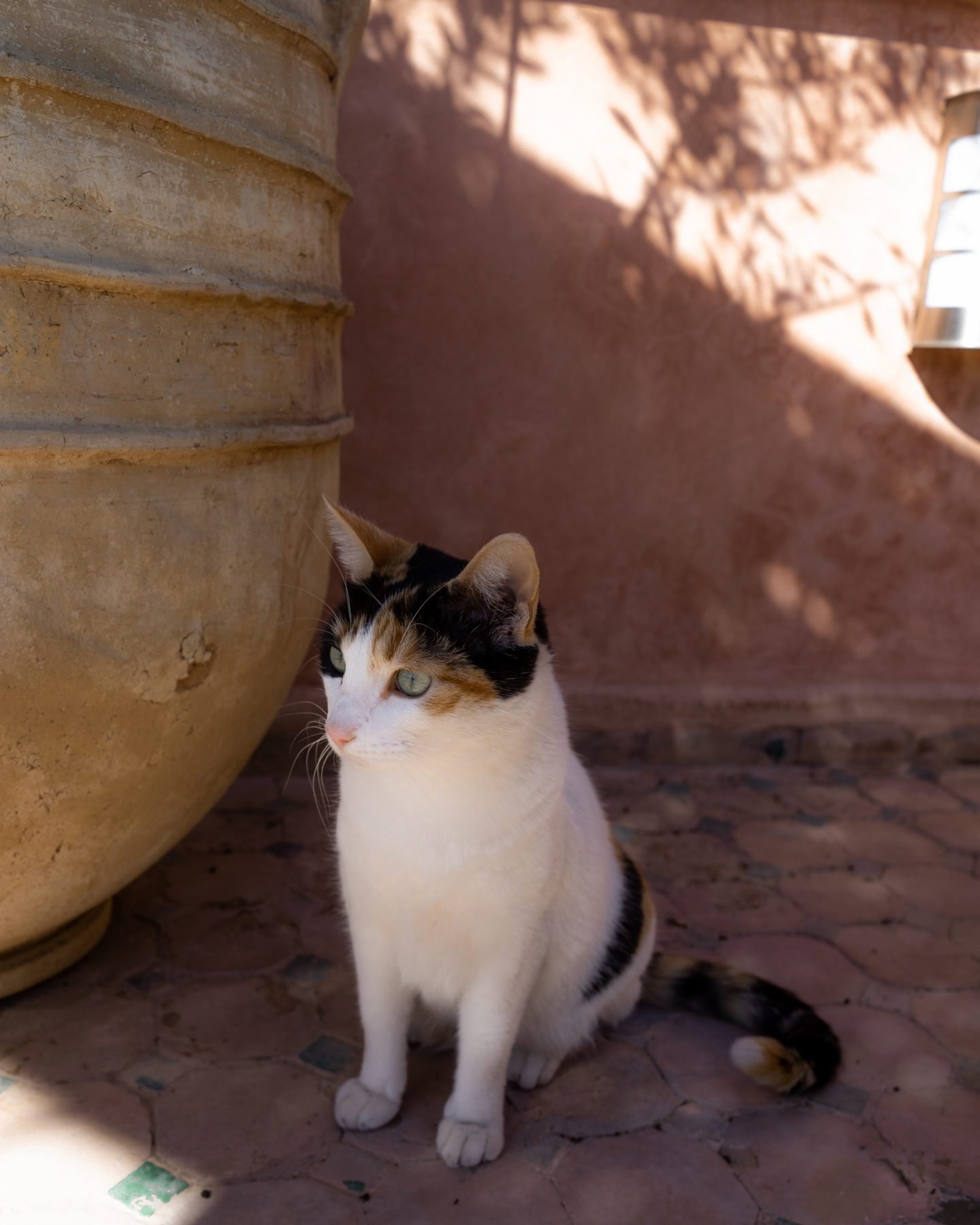 Best riads in Marrakech